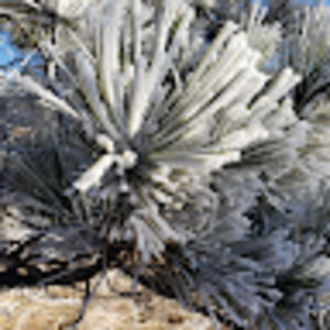 Meet your Posher, Jen